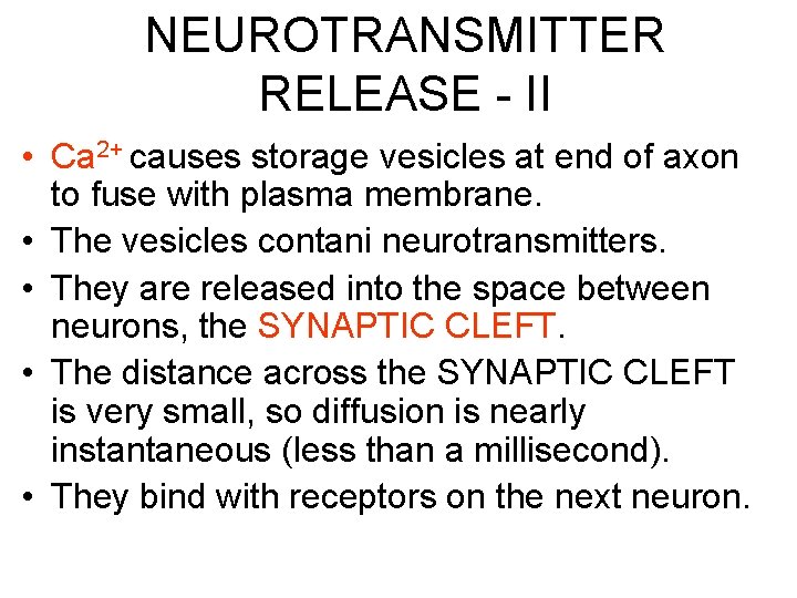 NEUROTRANSMITTER RELEASE - II • Ca 2+ causes storage vesicles at end of axon