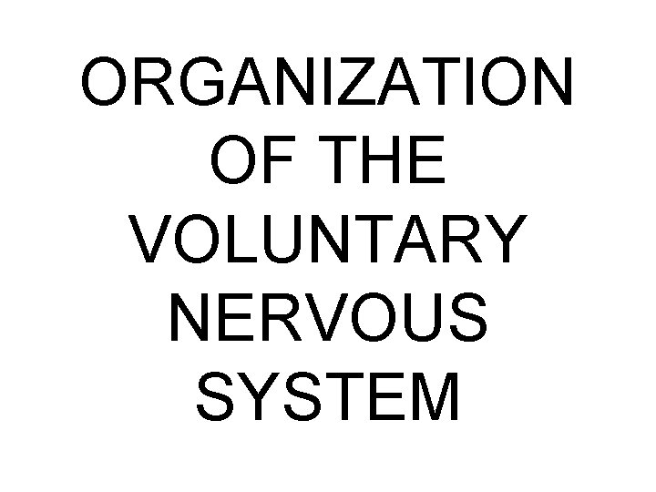 ORGANIZATION OF THE VOLUNTARY NERVOUS SYSTEM 