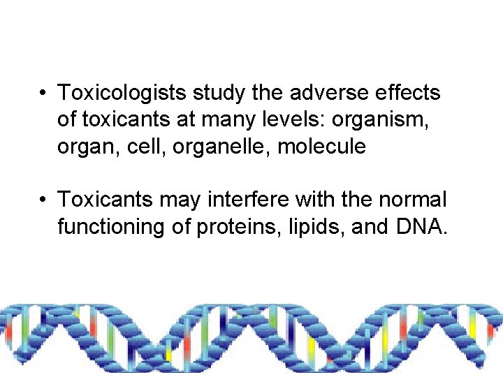  • Toxicologists study the adverse effects of toxicants at many levels: organism, organ,