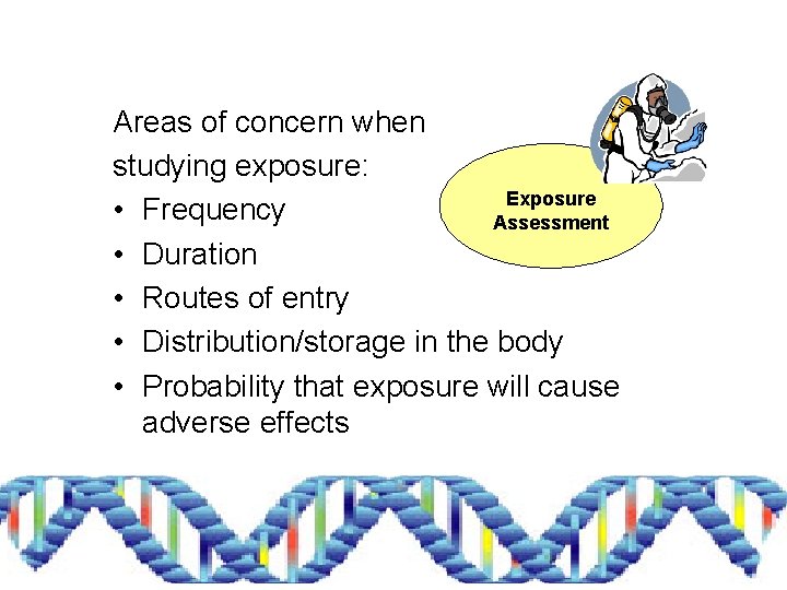 Areas of concern when studying exposure: Exposure • Frequency Assessment • Duration • Routes