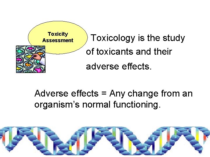 Toxicity Assessment Toxicology is the study of toxicants and their adverse effects. Adverse effects