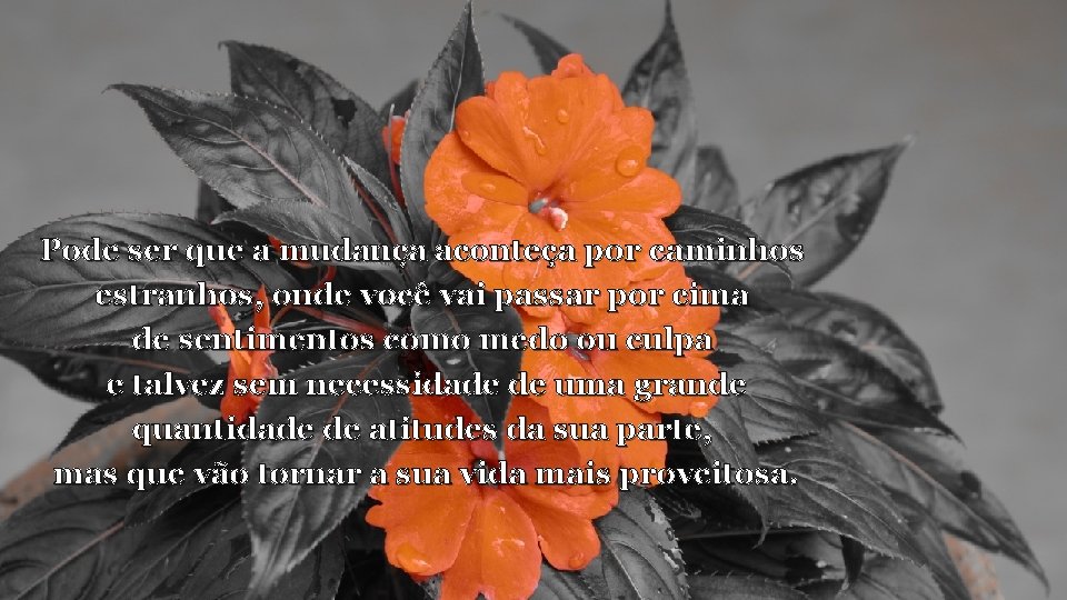 Pode ser que a mudança aconteça por caminhos estranhos, onde você vai passar por