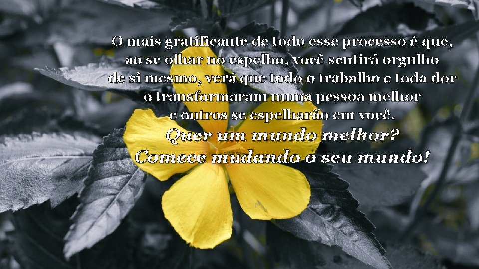 O mais gratificante de todo esse processo é que, ao se olhar no espelho,