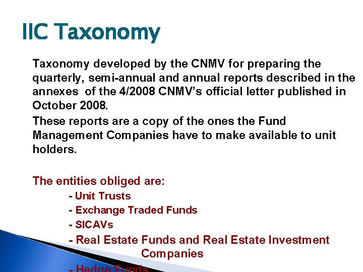 IIC Taxonomy developed by the CNMV for preparing the quarterly, semi-annual and annual reports