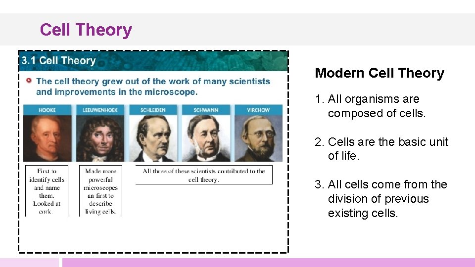 Cell Theory Modern Cell Theory 1. All organisms are composed of cells. 2. Cells