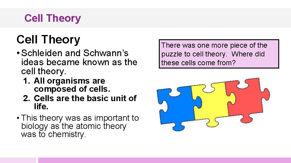 Cell Theory • Schleiden and Schwann’s ideas became known as the cell theory. 1.