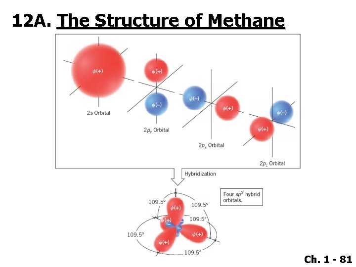 12 A. The Structure of Methane Ch. 1 - 81 