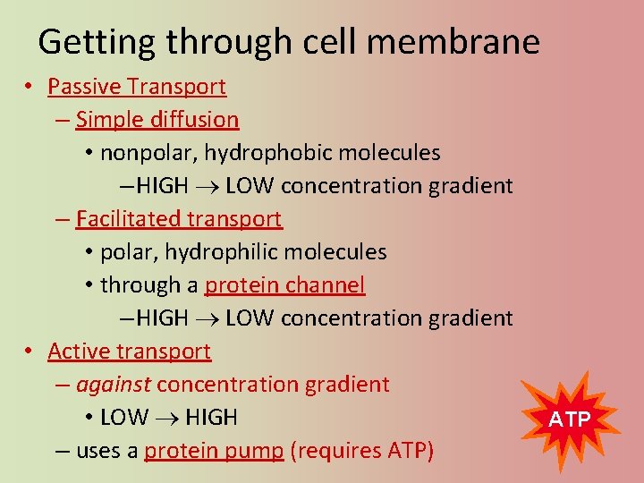 Getting through cell membrane • Passive Transport – Simple diffusion • nonpolar, hydrophobic molecules
