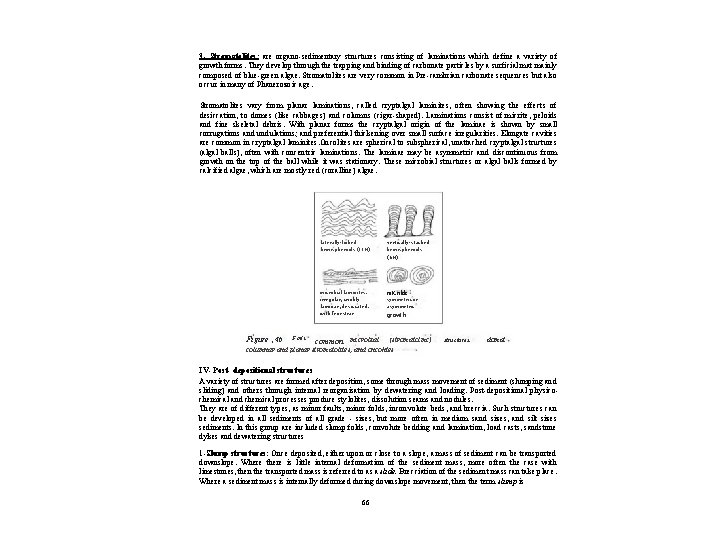 3 - Stromatolites: are organo-sedimentary structures consisting of laminations which define a variety of