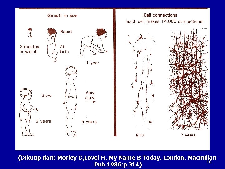 (Dikutip dari: Morley D, Lovel H. My Name is Today. London. Macmillan 10 Pub.