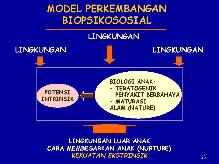 MODEL PERKEMBANGAN BIOPSIKOSOSIAL LINGKUNGAN POTENSI INTRINSIK LINGKUNGAN BIOLOGI ANAK: - TERATOGENIK - PENYAKIT BERBAHAYA