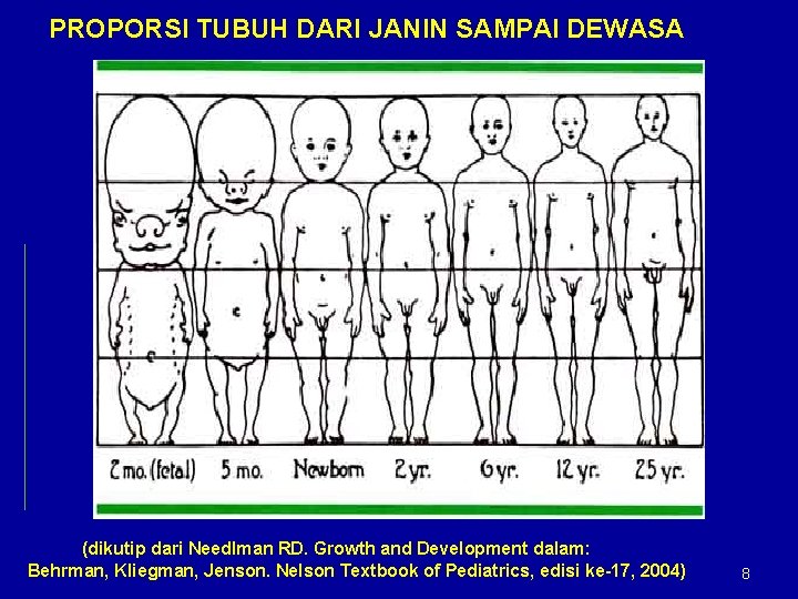 PROPORSI TUBUH DARI JANIN SAMPAI DEWASA (dikutip dari Needlman RD. Growth and Development dalam: