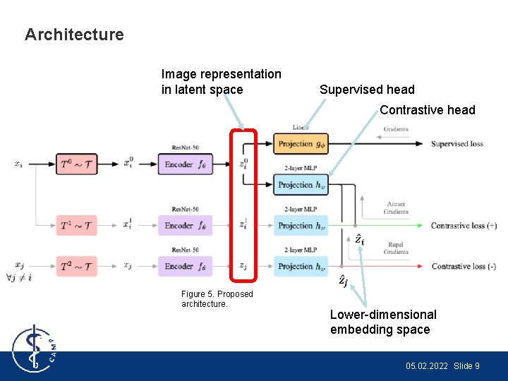 Architecture Image representation in latent space Supervised head Contrastive head Figure 5. Proposed architecture.