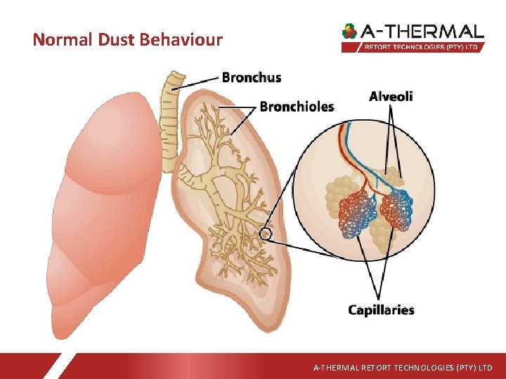 Normal Dust Behaviour A-THERMAL RETORT TECHNOLOGIES (PTY) LTD 