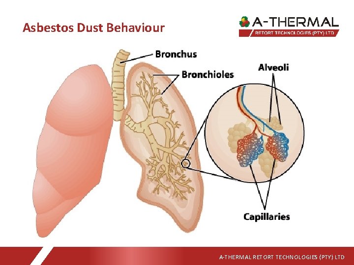 Asbestos Dust Behaviour A-THERMAL RETORT TECHNOLOGIES (PTY) LTD 
