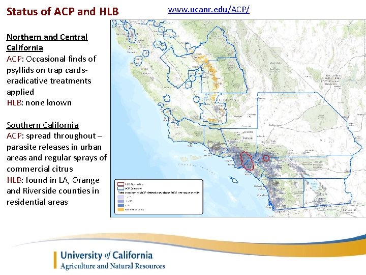Status of ACP and HLB Northern and Central California ACP: Occasional finds of psyllids