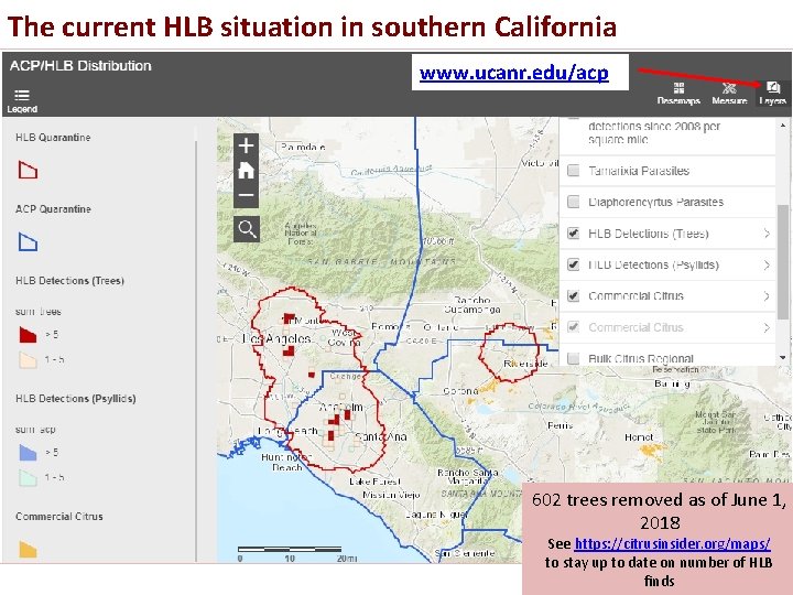 The current HLB situation in southern California www. ucanr. edu/acp 602 trees removed as