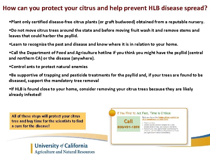 How can you protect your citrus and help prevent HLB disease spread? • Plant