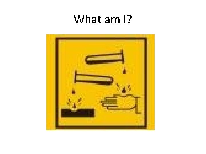 What am I? 