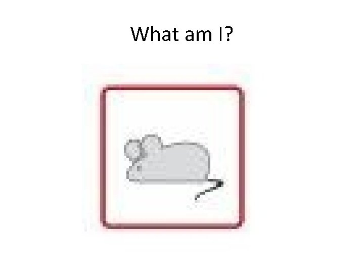 What am I? 