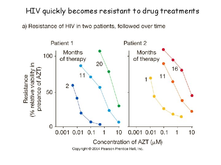 HIV quickly becomes resistant to drug treatments 