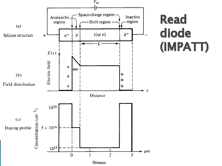 Read diode (IMPATT) 
