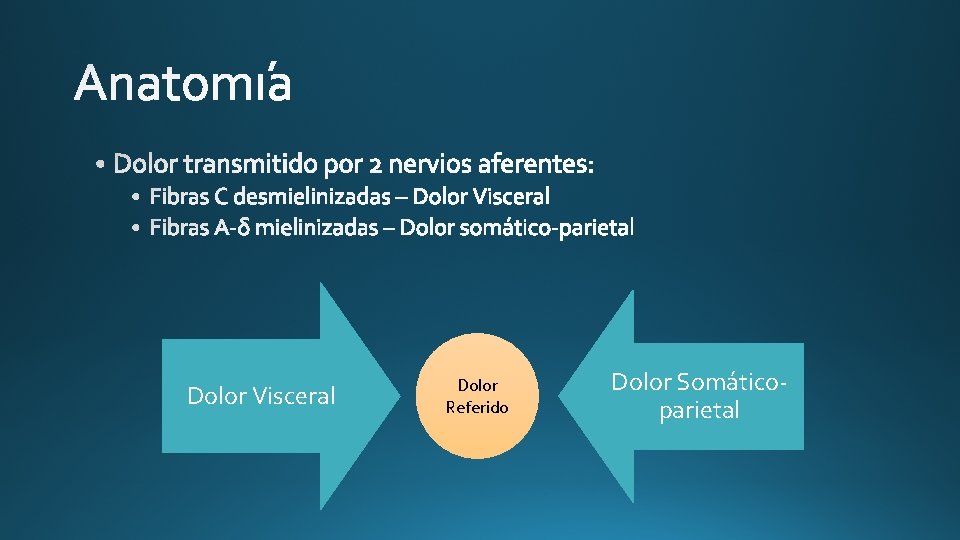 Dolor Visceral Dolor Referido Dolor Somáticoparietal 