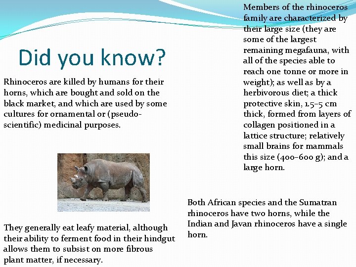 Did you know? Rhinoceros are killed by humans for their horns, which are bought