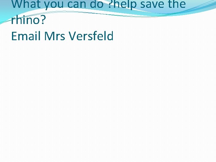 What you can do ? help save the rhino? Email Mrs Versfeld 