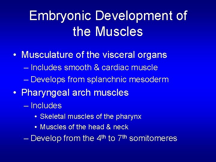 Embryonic Development of the Muscles • Musculature of the visceral organs – Includes smooth
