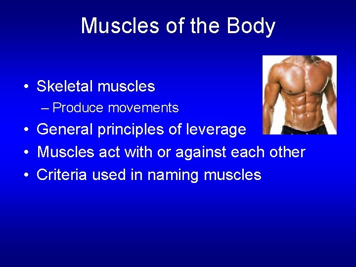 Muscles of the Body • Skeletal muscles – Produce movements • General principles of