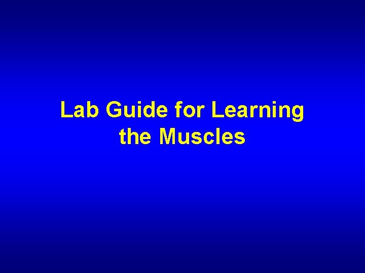 Lab Guide for Learning the Muscles 