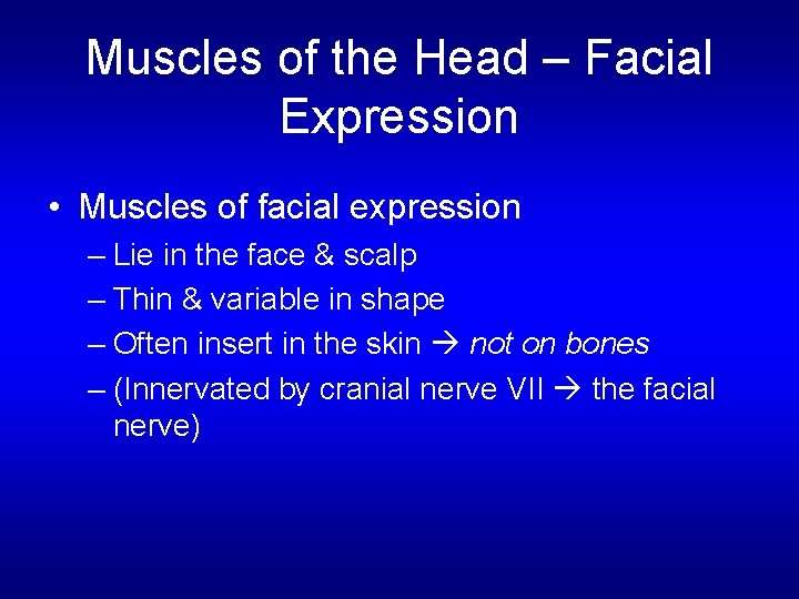 Muscles of the Head – Facial Expression • Muscles of facial expression – Lie