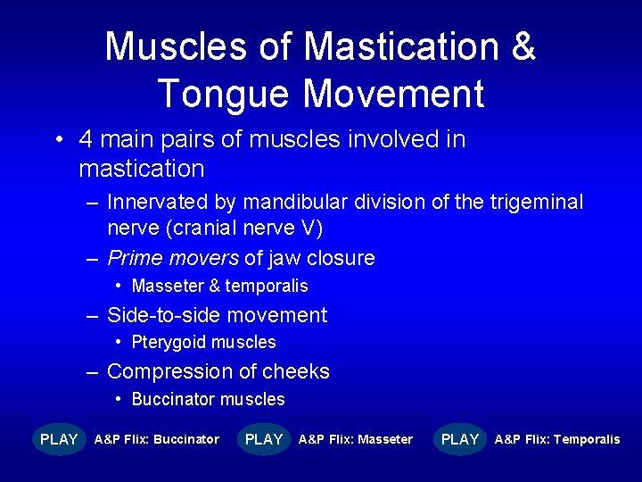Muscles of Mastication & Tongue Movement • 4 main pairs of muscles involved in