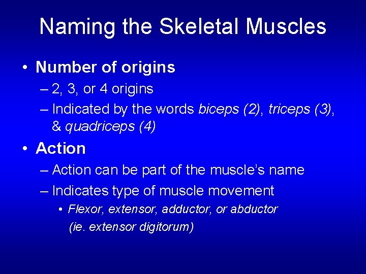 Naming the Skeletal Muscles • Number of origins – 2, 3, or 4 origins