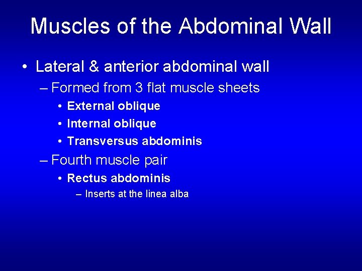 Muscles of the Abdominal Wall • Lateral & anterior abdominal wall – Formed from