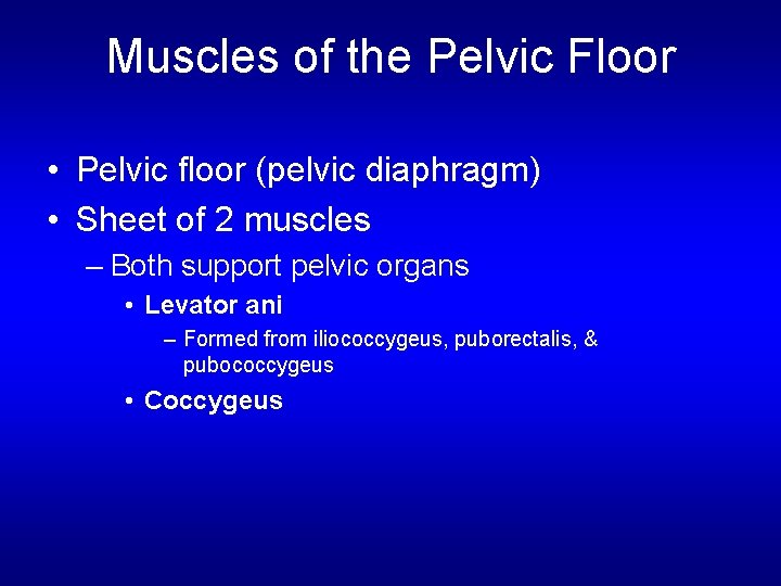 Muscles of the Pelvic Floor • Pelvic floor (pelvic diaphragm) • Sheet of 2