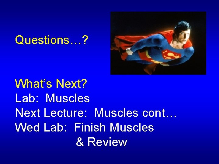 Questions…? What’s Next? Lab: Muscles Next Lecture: Muscles cont… Wed Lab: Finish Muscles &