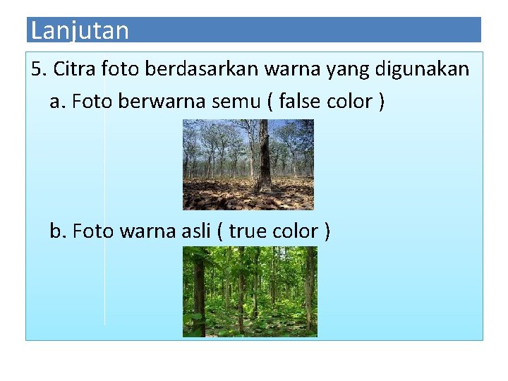 Lanjutan 5. Citra foto berdasarkan warna yang digunakan a. Foto berwarna semu ( false