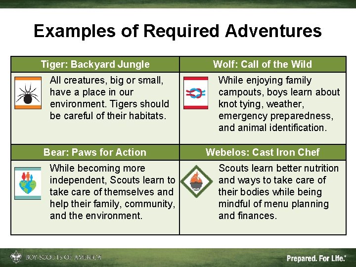 Examples of Required Adventures Tiger: Backyard Jungle All creatures, big or small, have a