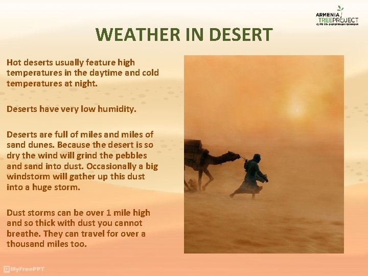 WEATHER IN DESERT Hot deserts usually feature high temperatures in the daytime and cold