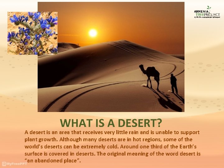 WHAT IS A DESERT? A desert is an area that receives very little rain
