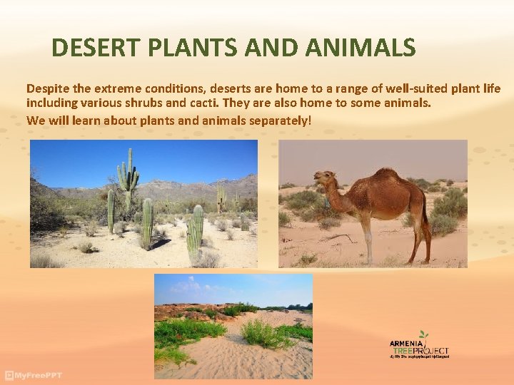 DESERT PLANTS AND ANIMALS Despite the extreme conditions, deserts are home to a range