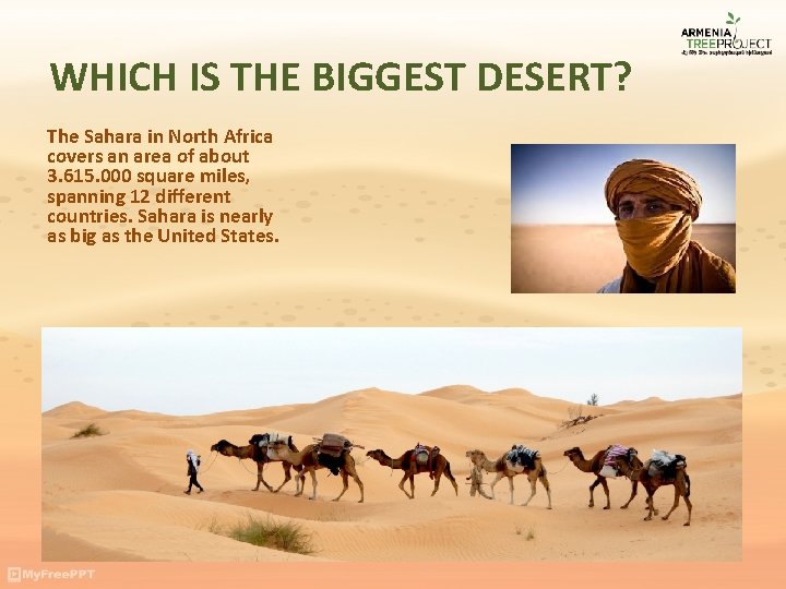 WHICH IS THE BIGGEST DESERT? The Sahara in North Africa covers an area of