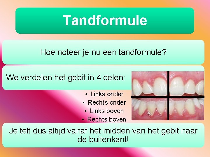 Tandformule Hoe noteer je nu een tandformule? We verdelen het gebit in 4 delen: