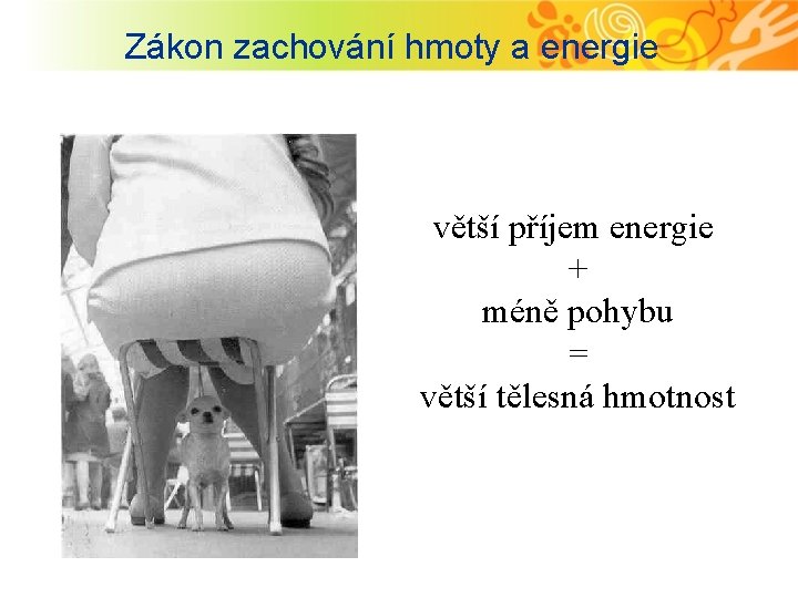 Zákon zachování hmoty a energie větší příjem energie + méně pohybu = větší tělesná