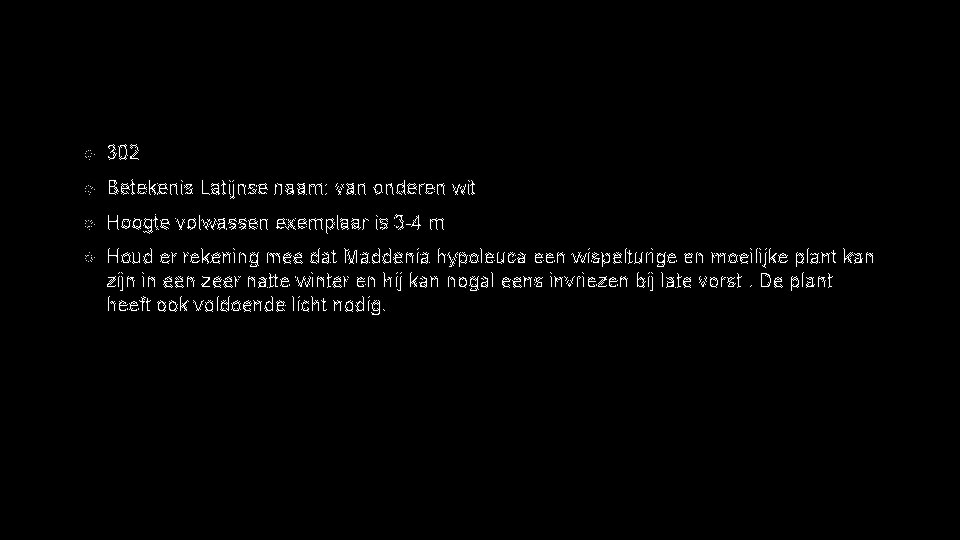  302 Betekenis Latijnse naam: van onderen wit Hoogte volwassen exemplaar is 3 -4