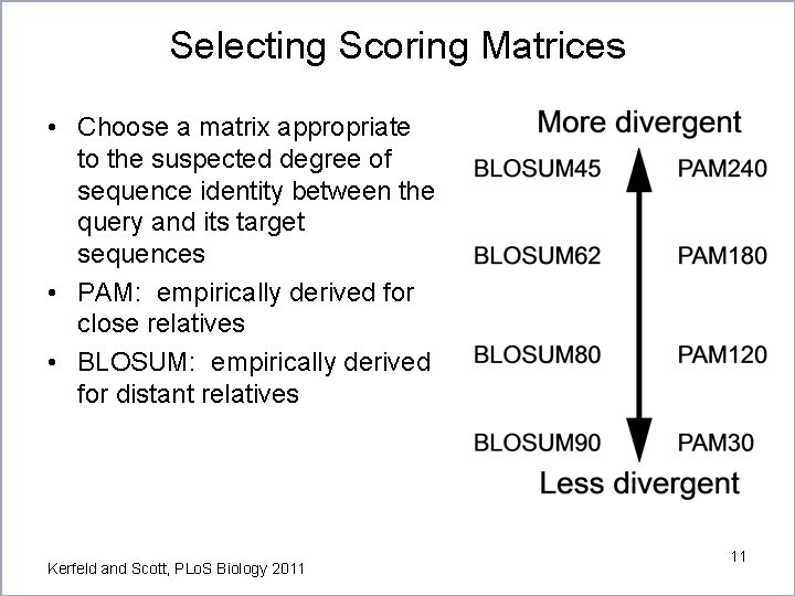 Selecting Scoring Matrices • Choose a matrix appropriate to the suspected degree of sequence