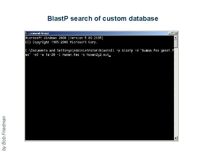 by Bob Friedman Blast. P search of custom database 