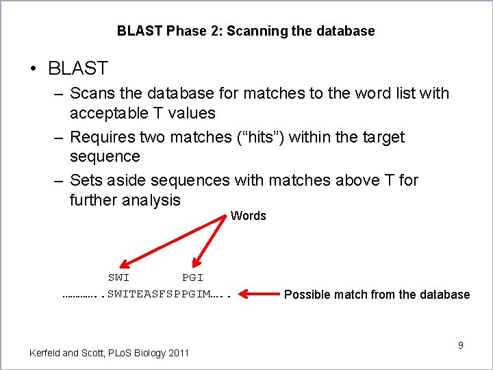 BLAST Phase 2: Scanning the database • BLAST – Scans the database for matches